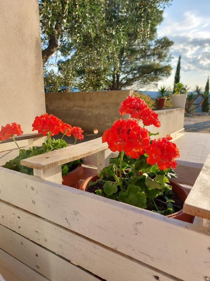 B&B Villa Maria Ester Vieste Buitenkant foto